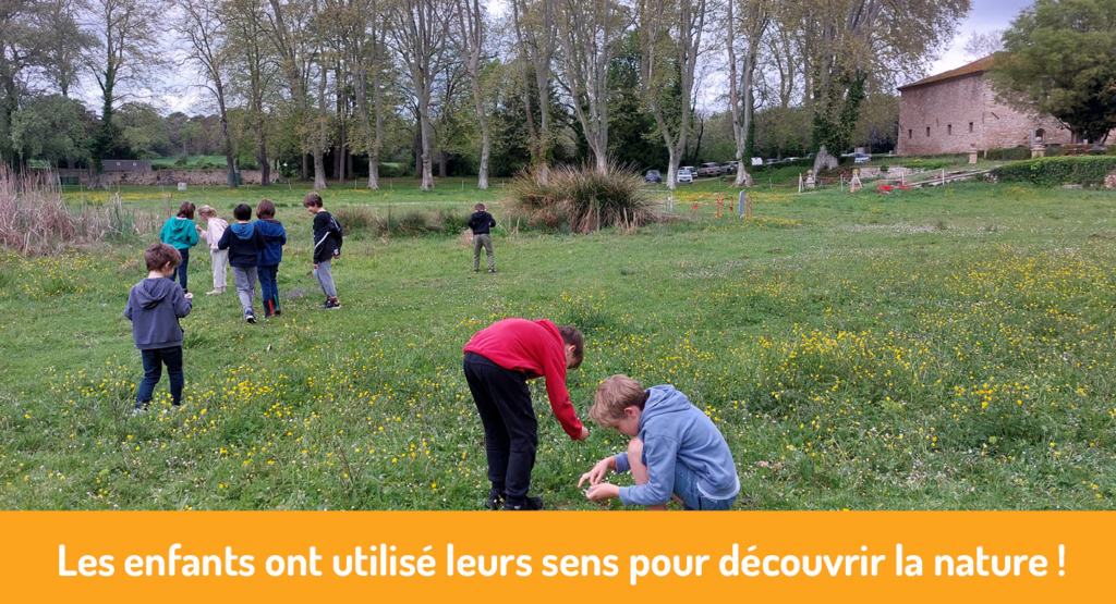 Sens : Activités à Découvrir