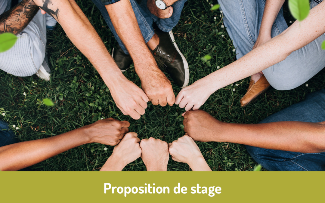 Stage en sensibilisation à l’environnement !
