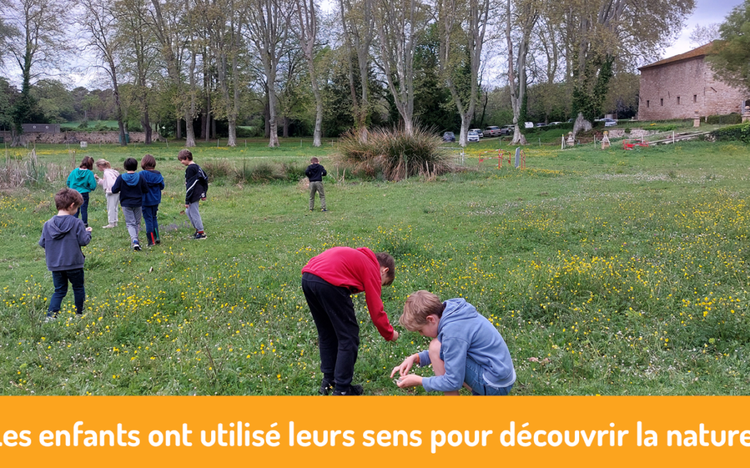 Les 5 sens pour découvrir la nature !