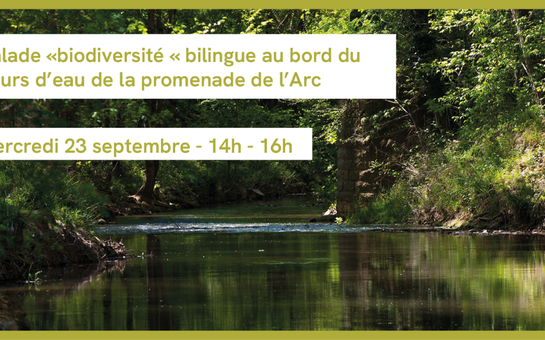 Balade biodiversité bilingue au bord de l&rsquo;Arc