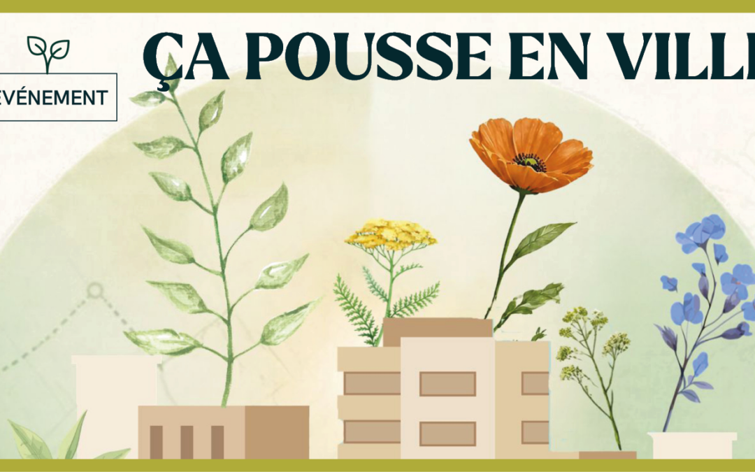 Ca pousse en ville !